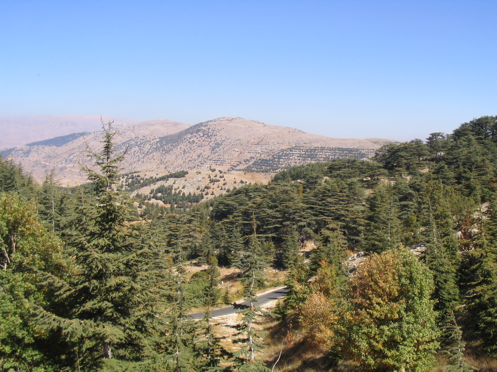 Barouk_Mountain